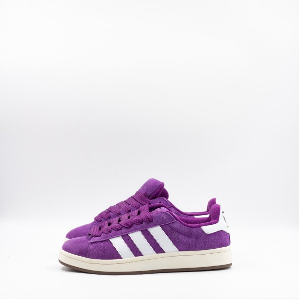CAMPUS PURPLE/WHITE