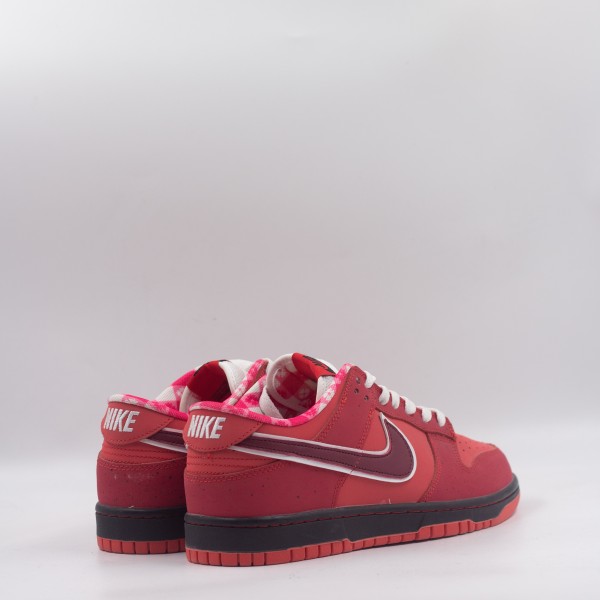 NIKE SB DUNK LOW LOBSTER RED