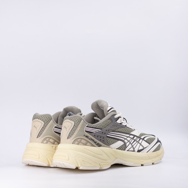 WELL VELOPHA SIS KHAKI/BEIGE